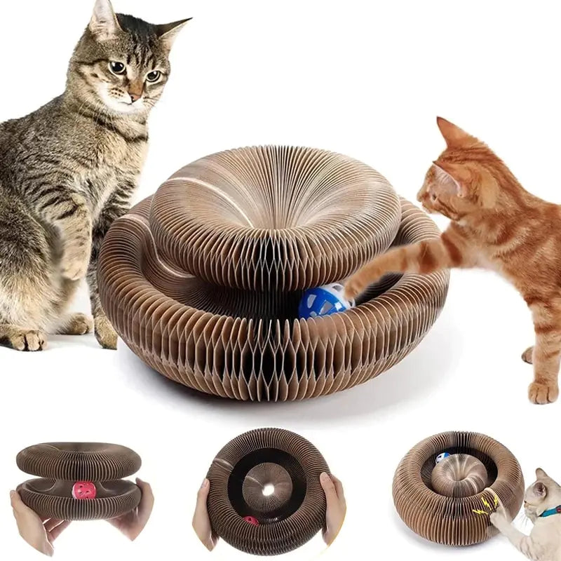 Magic Organ Cats Scratcher Toy - Endless Fun for Your Cat, Transform your cat's playtime with the Magic Organ Cats Scratcher Toy. Endless shapes, premium materials, and multiple benefits. Shop now for endless feline fun