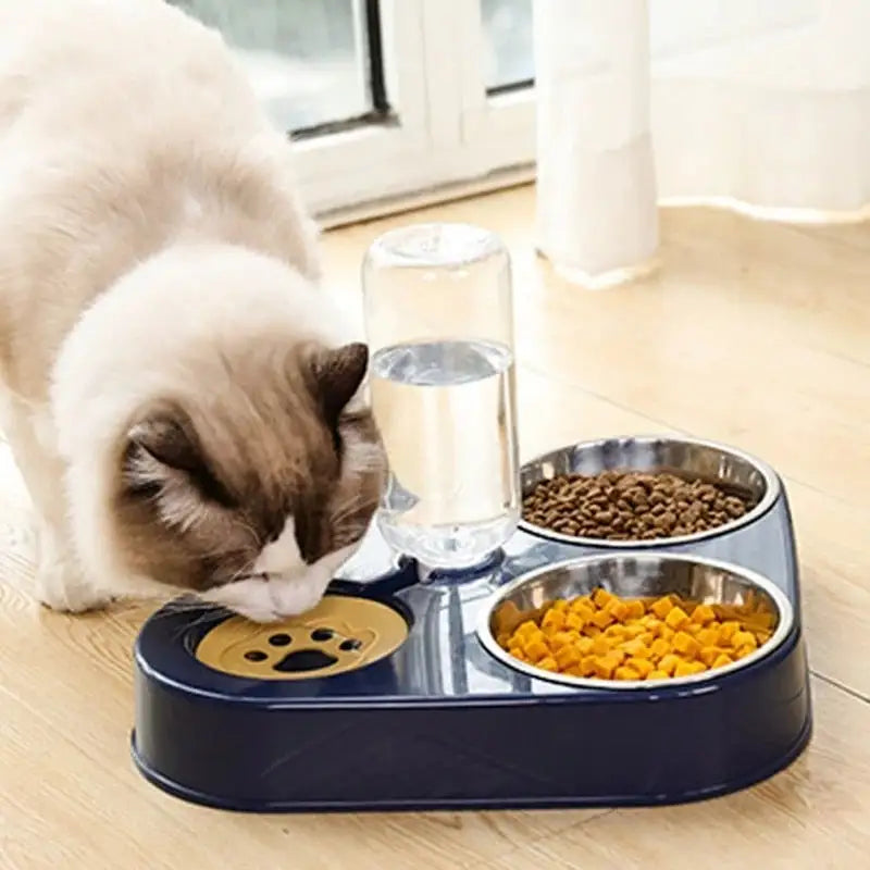 3 in 1 Pet Food Bowl with Automatic Drinking Feeder