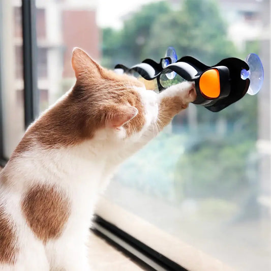 Interactive Suction Cup Cat Track Ball Toy, Keep your cat entertained and agile with our Suction Cup Cat Track Ball Toy. Easy installation, safe materials, and mental stimulation for endless playtime.