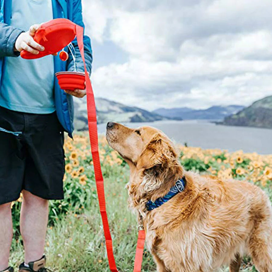 Retractable Dog Leash with Built-In Water Dispenser, Discover our Retractable Dog Leash featuring a built-in water dispenser, waste bag holder, and durable nylon construction for convenient, hassle-free walks.