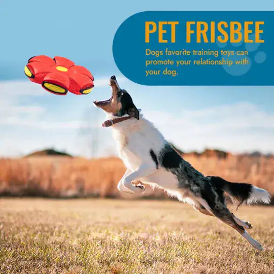 Pet Flying Saucer Ball Toy - Fun & Durable Pet Toy, Keep your pet active and entertained with the Pet Flying Saucer Ball Toy. Durable, safe, and perfect for pets of all sizes.