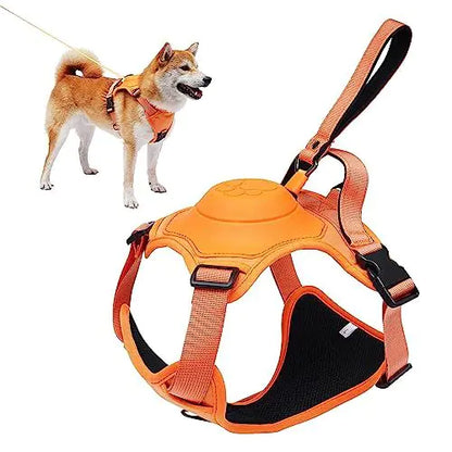 Comfortable walks with our Ultimate Control Dog Harness and Retractable Leash Set. Anti-twist, adjustable fit, and durable construction for worryfree adventures