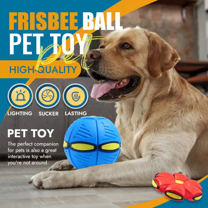 Pet Flying Saucer Ball Toy - Fun & Durable Pet Toy, Keep your pet active and entertained with the Pet Flying Saucer Ball Toy. Durable, safe, and perfect for pets of all sizes.